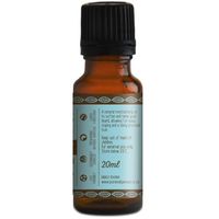 Pure Indigenous Beard Oil